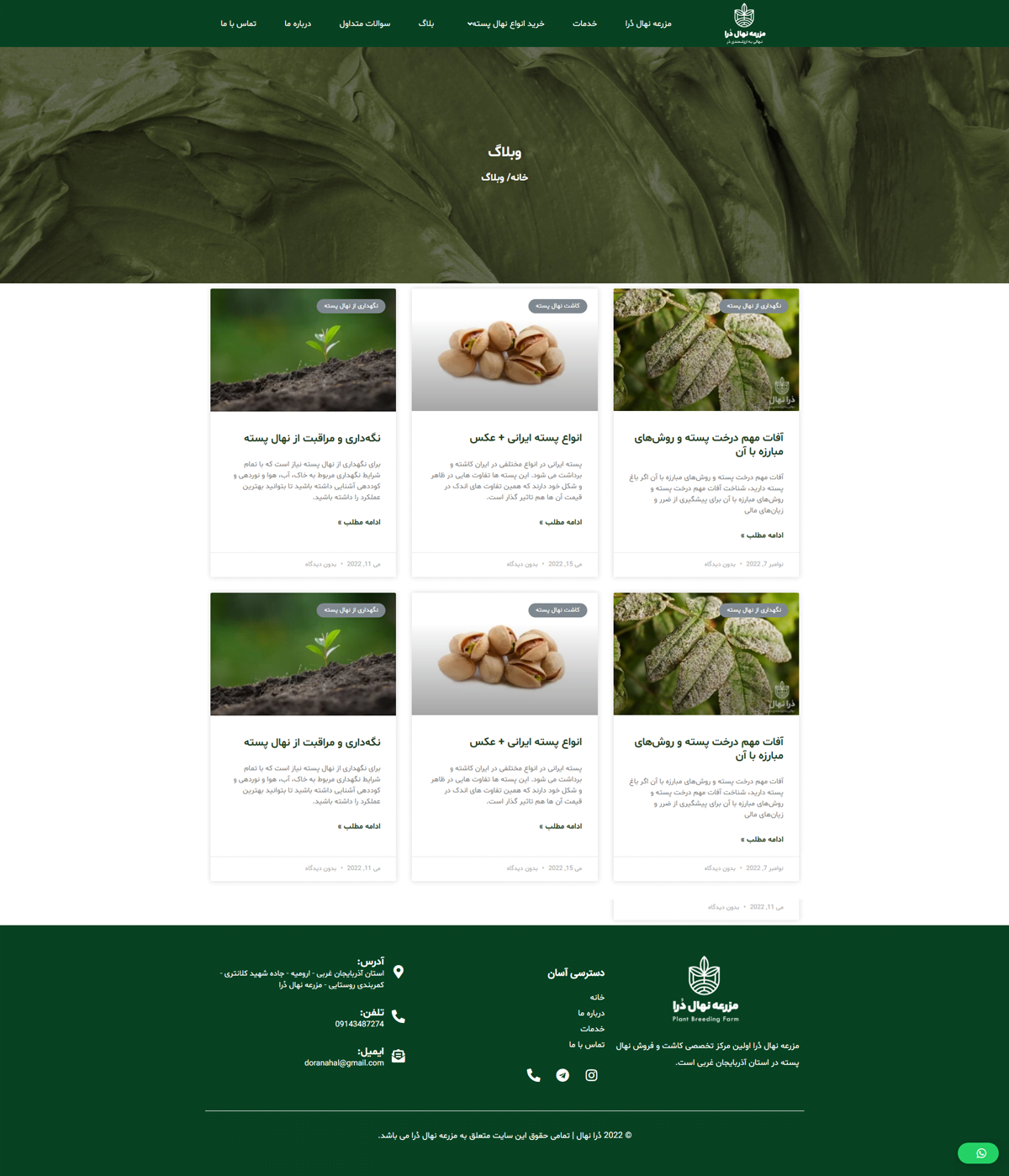 طراحی سایت فروش پسته