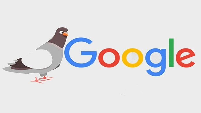 سئو سایت برای الگوریتم کبوتر