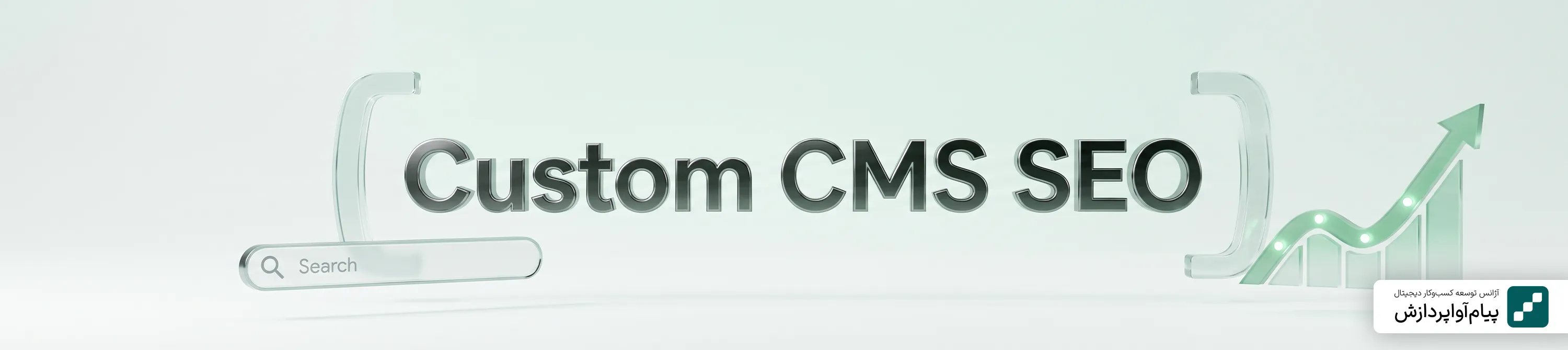 سئو سایت CMS اختصاصی
